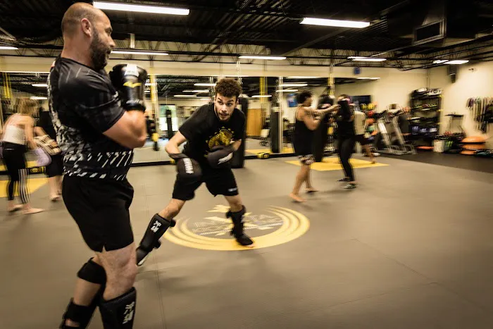 Invicta KickboxingX, Ltd Picture 8