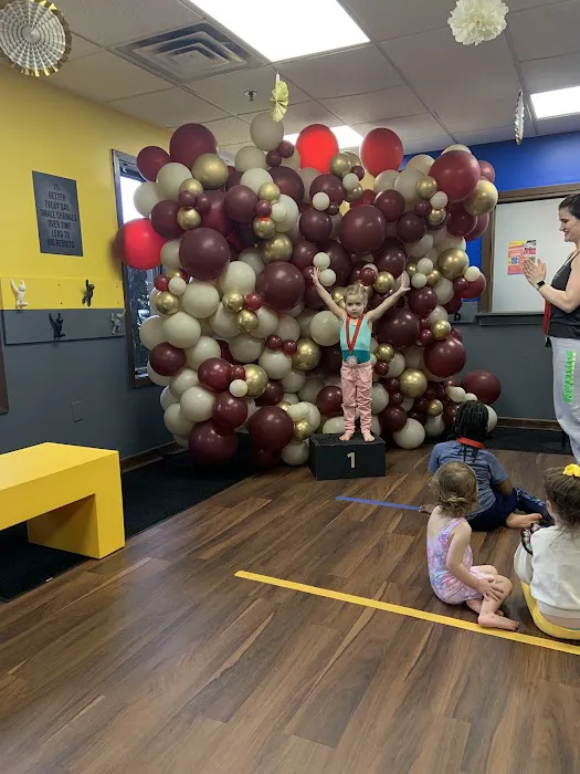 Gemini Gymnastics Academy Picture 4