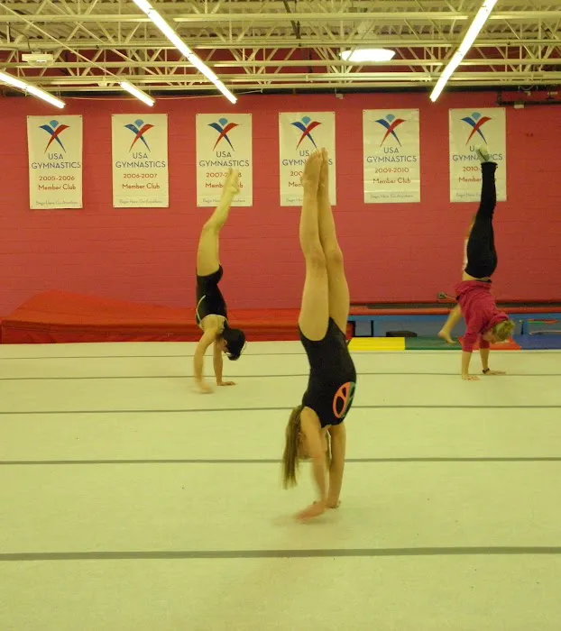 Gemini Gymnastics Academy Picture 10