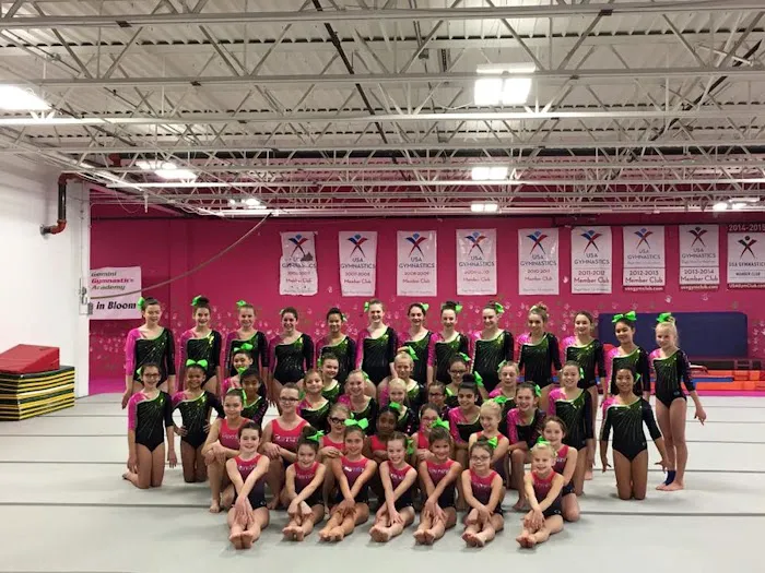 Gemini Gymnastics Academy Picture 2