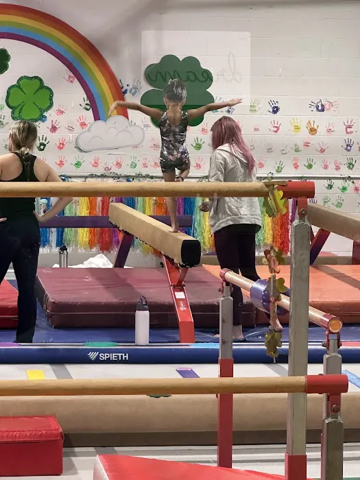 Gemini Gymnastics Academy Picture 5