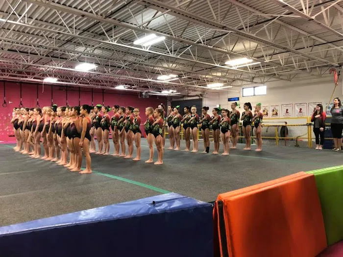 Gemini Gymnastics Academy Picture 1