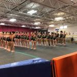 Gemini Gymnastics Academy