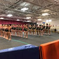 Gemini Gymnastics Academy ico
