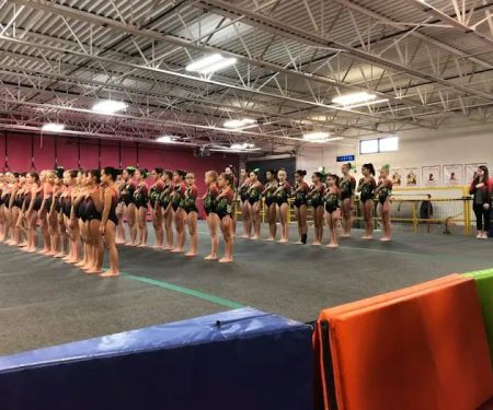 Gemini Gymnastics Academy