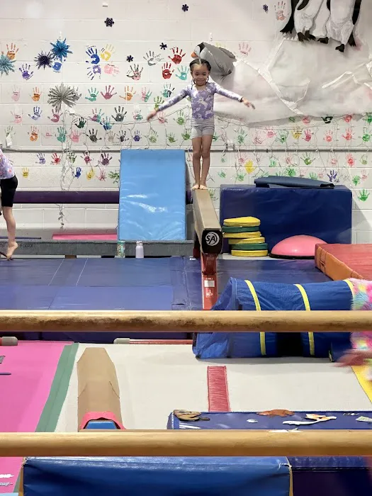 Gemini Gymnastics Academy Picture 3