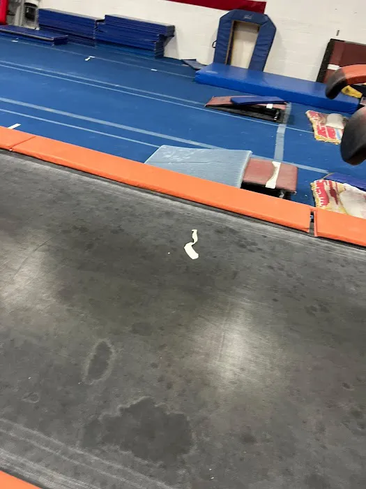 BIG Gymnastics Picture 6