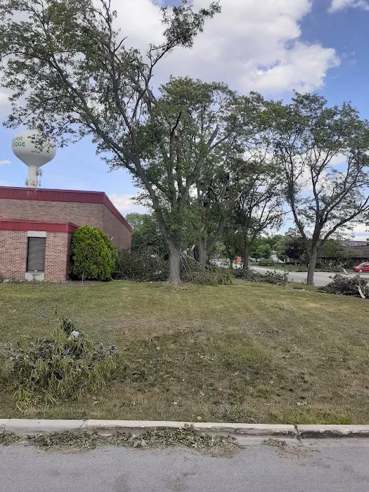 BIG Gymnastics Picture 4