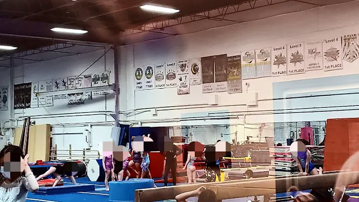 BIG Gymnastics Picture 7