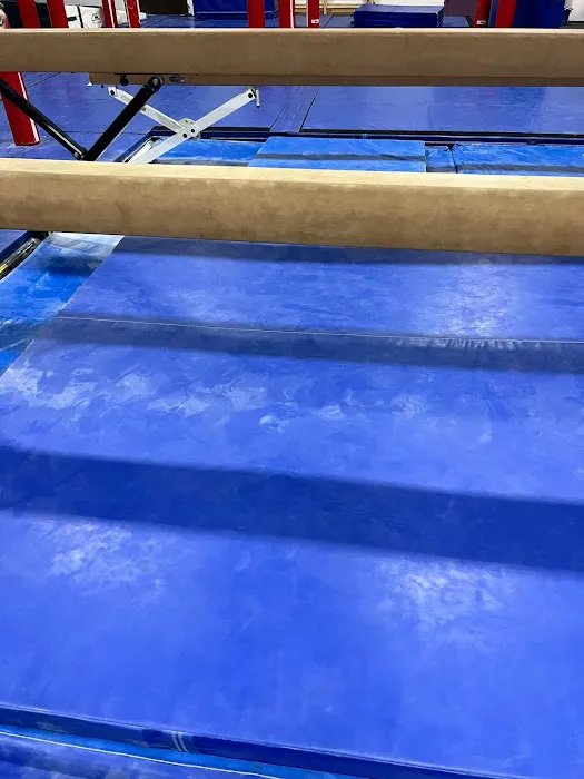 BIG Gymnastics Picture 8