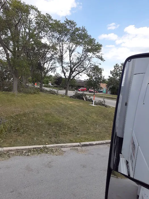 BIG Gymnastics Picture 9