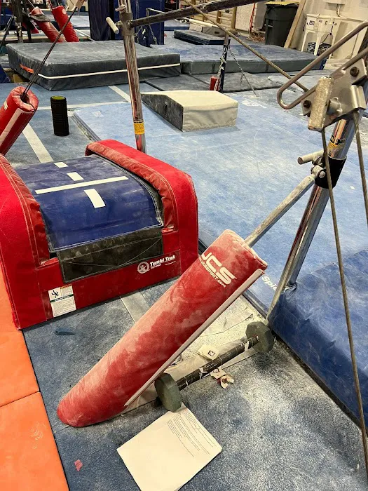 BIG Gymnastics Picture 10