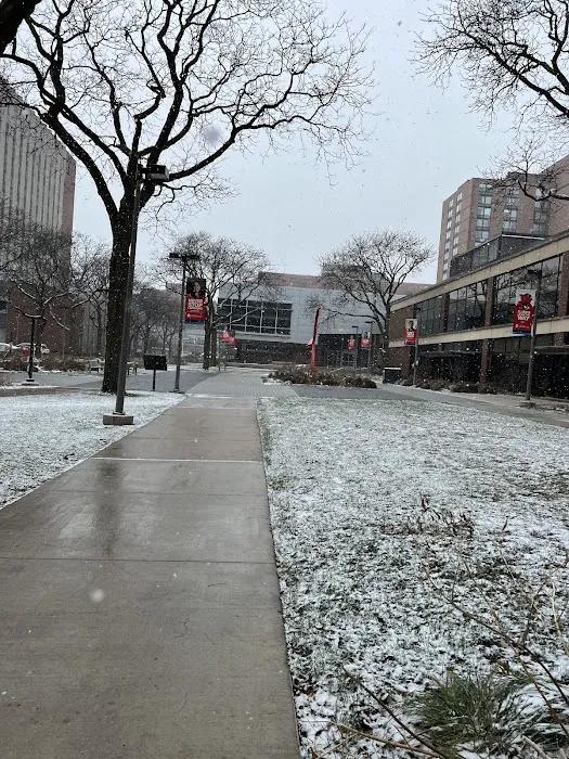 UIC Sports & Fitness Center Picture 6