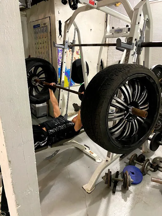 Lobo gym fitness Picture 2