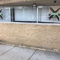 Trainer X Performance & Fitness LLC ico