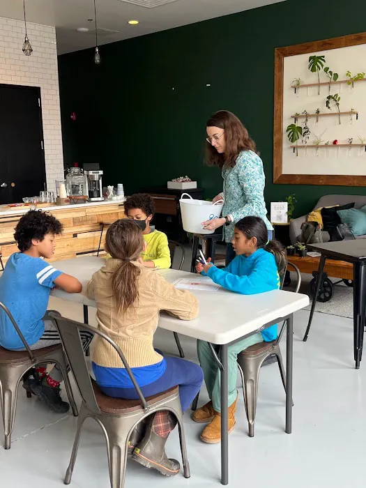 the treehouse 🌳 Picture 8