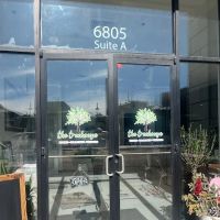 the treehouse 🌳 ico