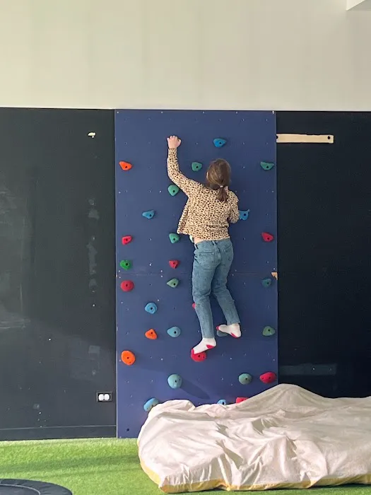 the treehouse 🌳 Picture 2