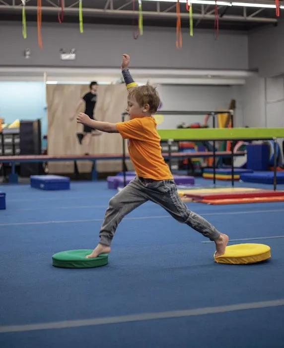 Ninja Squad Gym Picture 4