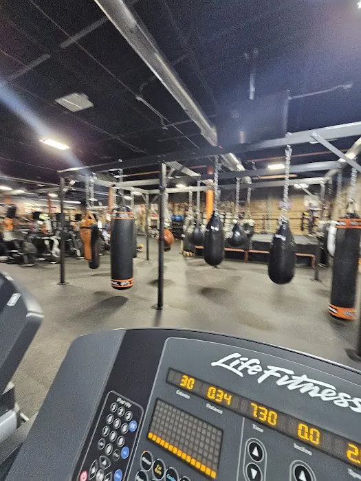 Ferrara Pan Fitness Factory Picture 8