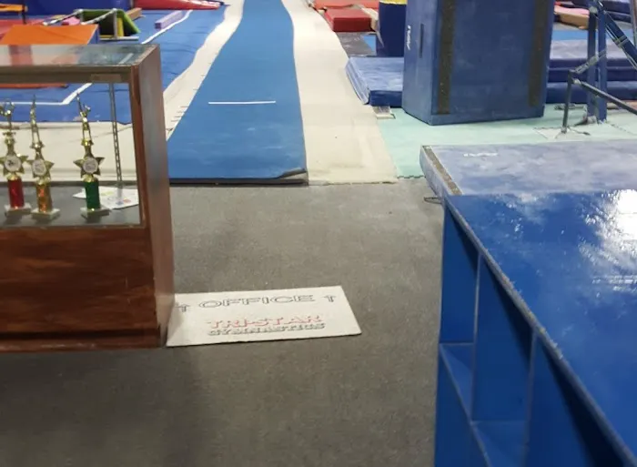 Tri-Star Gymnastics Inc Picture 2
