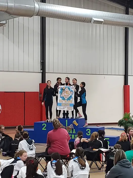 Tri-Star Gymnastics Inc Picture 3