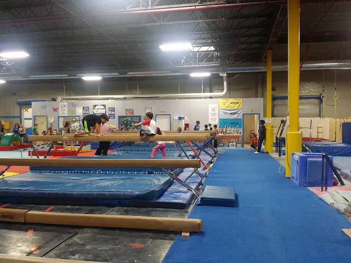 Tri-Star Gymnastics Inc Picture 1