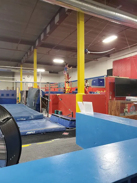 Tri-Star Gymnastics Inc Picture 6