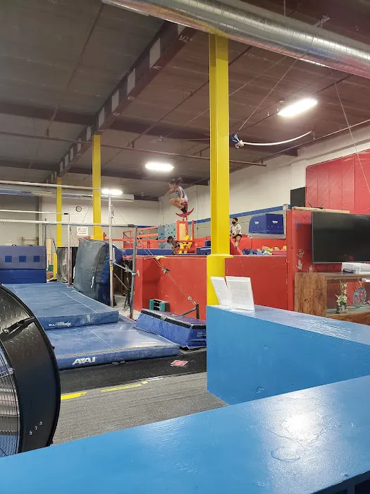 Tri-Star Gymnastics Inc Picture 10