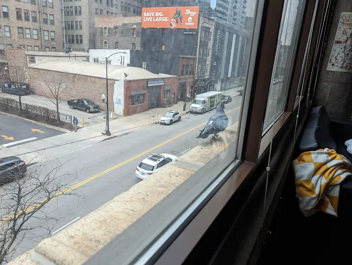 South Loop Strength & Conditioning Picture 5