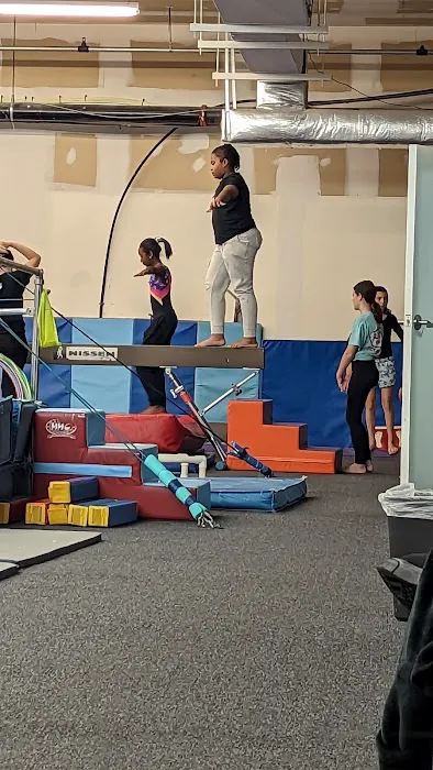 Olympiad Gymnastics Picture 1