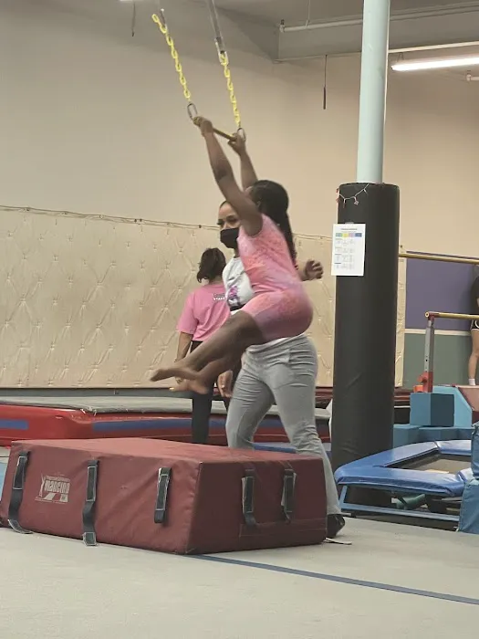 Olympiad Gymnastics Picture 2