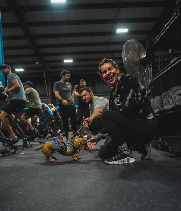 Jaguar Strength & Conditioning - Lemont Picture 5