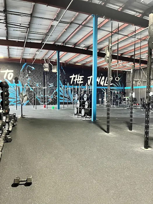 Jaguar Strength & Conditioning - Lemont Picture 7