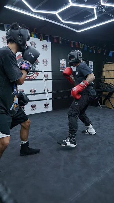 Spartan Boxing Club Picture 4