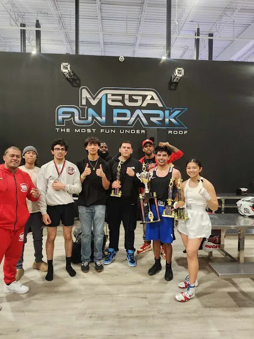 Spartan Boxing Club Picture 2