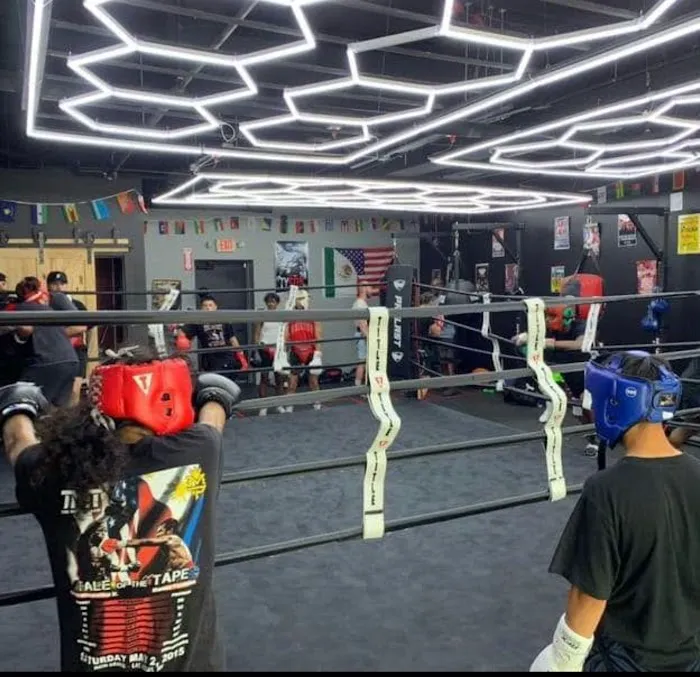 Spartan Boxing Club Picture 8