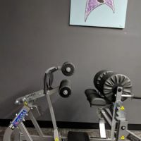 Anytime Fitness ico