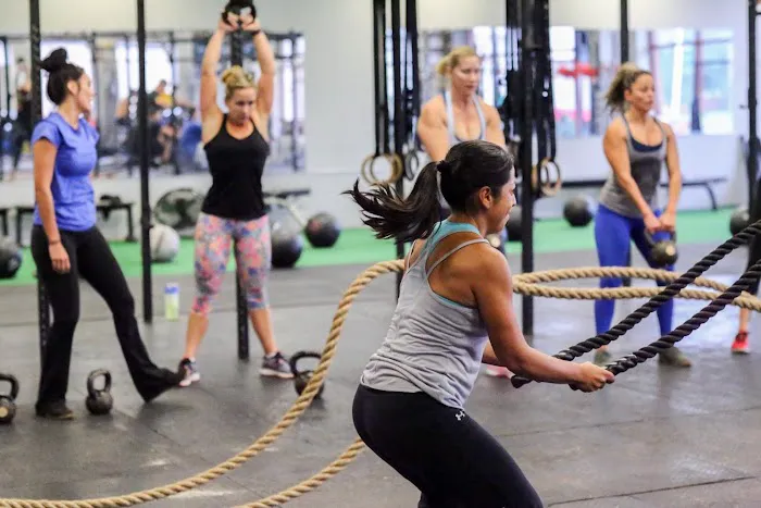 Undisputed Strength Co. Picture 6