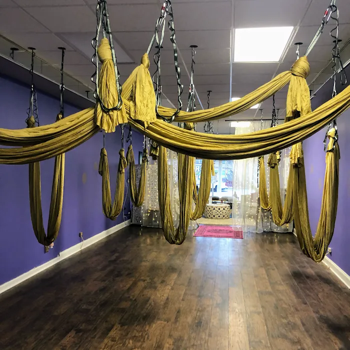 Lotus Moon Aerial Yoga Picture 3
