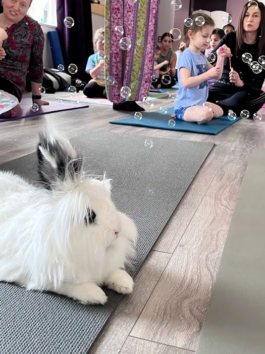 Lotus Moon Aerial Yoga Picture 1