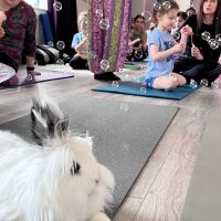 Lotus Moon Aerial Yoga ico