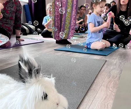 Lotus Moon Aerial Yoga