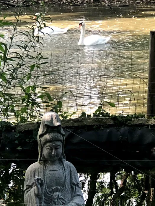 Lotus Moon Aerial Yoga Picture 7