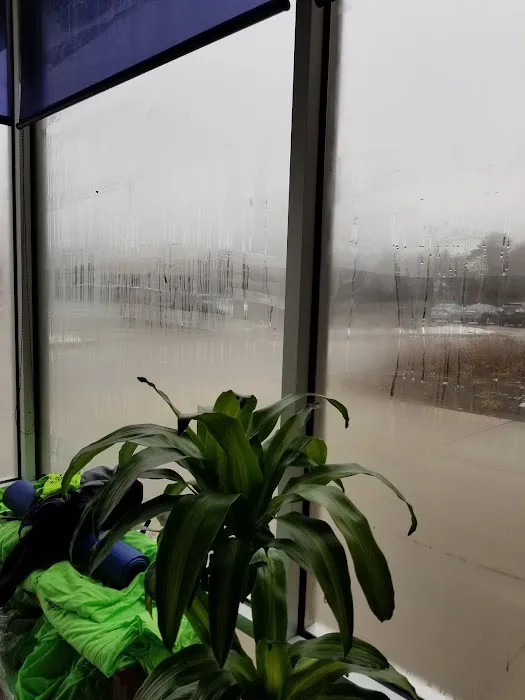 Living Water Yoga Picture 7