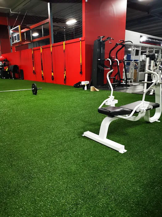 Body Tech Total Fitness Picture 8