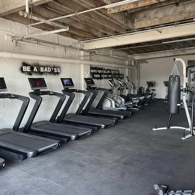 Winks Iron Lot / The Fitness Factory / Thee 605 Picture 1