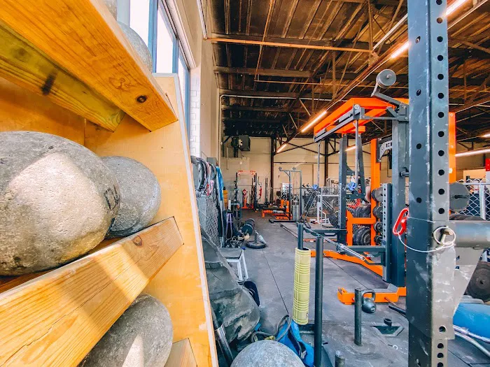 Winks Iron Lot / The Fitness Factory / Thee 605 Picture 9