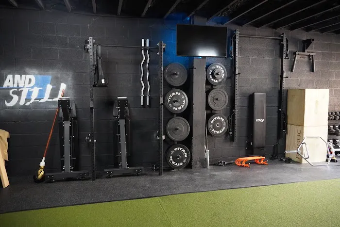 Undisputed Fitness Picture 2