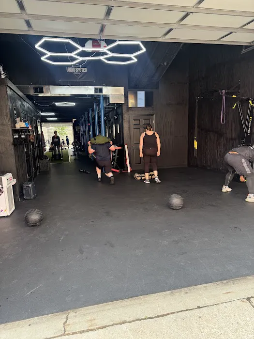 Undisputed Fitness Picture 8